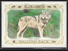 2021 Topps Allen & Ginter Vets RC & Inserts - Pick your Card - Complete your set