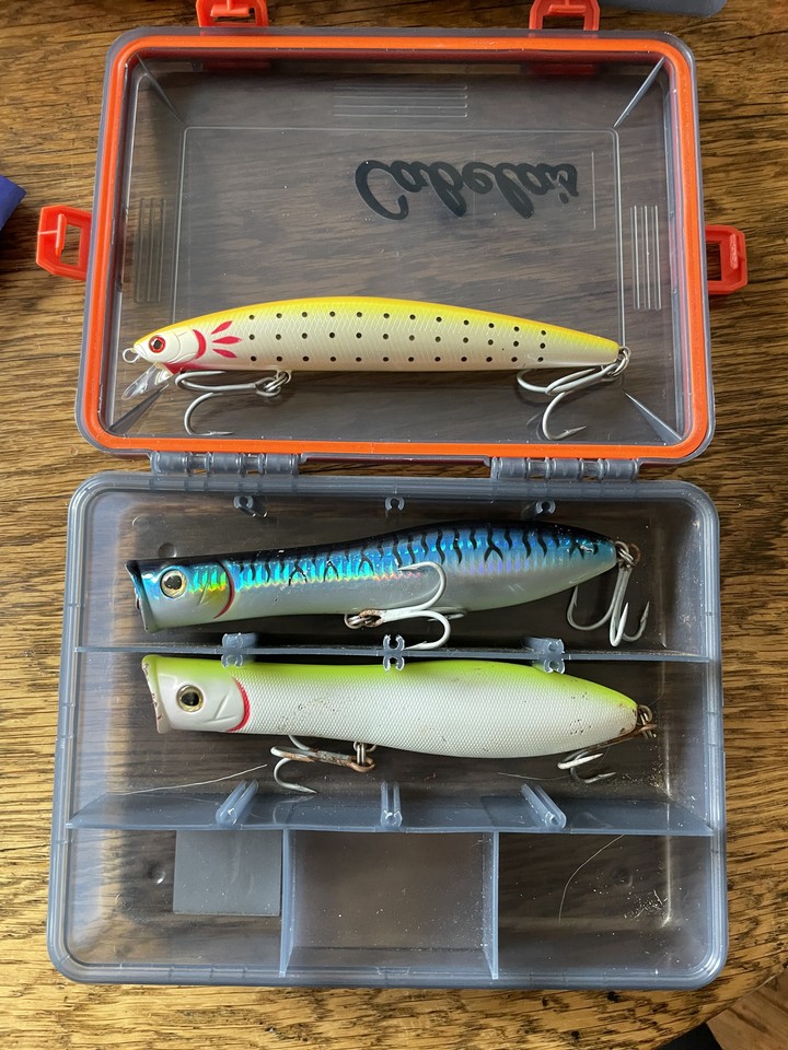 Lot Leurres Pêche En Eau Salée Haut De Gamme – Gibbs, Ronz, Tsunami, Daiwa En Boîtier