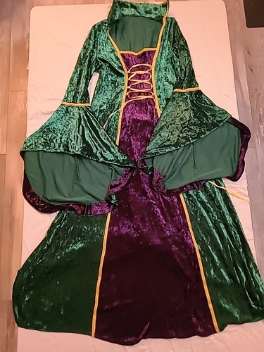 Women's Disney Hocus Pocus Winifred Sanderson Costume LARGE Complete Robe Wig - Picture 2 of 15