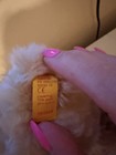 Steiff Classic-Serie Teddy Growler Bear Plush 000669 1995 Small 6-14 in Vintage — photo 3
