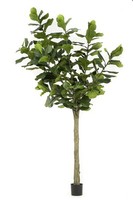 Artplants KüNstlicher Ficus Lyrata Enriko, Kunststamm, GrüN, 300Cm