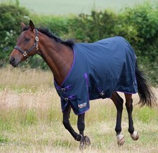 GALLOP TROJAN 0G TURNOUT