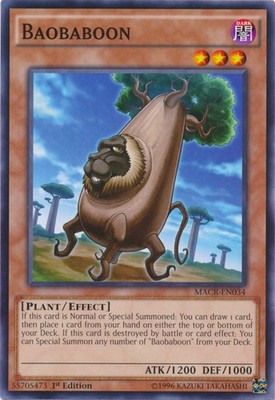 Baobaboon - MACR-EN034 - Common - 1st Edition - Heavily Played