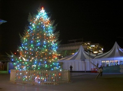 Foto 12x8 Millennium Square Baum Bedminster einige saisonale Sehenswürdigkeiten: a beleuchtet C c2017