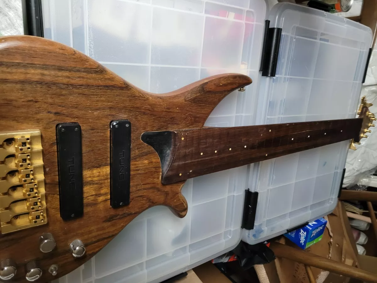 Fretless Tune 6 string Electric Bass