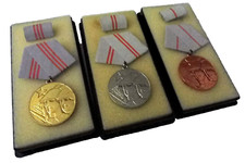 Medaille der Waffenbr&uuml;derschaft der NVA (ab 1966)