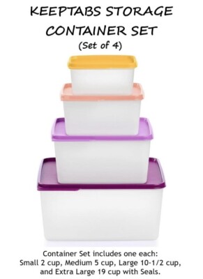 Tupperware KEEPTABS STORAGE CONTAINER SET of 4 ~ 2/5/10.5/19 Cup ~ BRAND NEW!