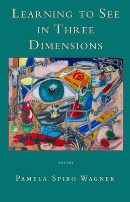 Learning to See in Three Dimensions | Pamela Spiro Wagner | englisch