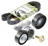 SNR Keilrippenriemensatz KA859.10 FüR Peugeot CitroËN 206 8E SW 8C 406 2A 8B CC