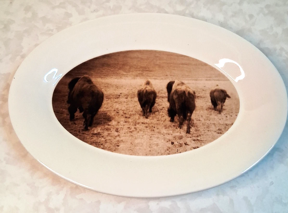Photo Réimpression L.A. Huffman – Aigles Tachetés, Village Sioux, 1880 (tirage Glossy)