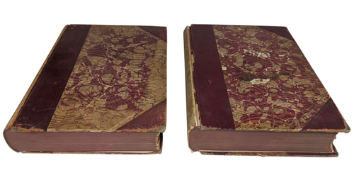 A History of Hampden County Massachusetts by Copeland 1902 Vol 1 and 2 - Imagen 2 de 16