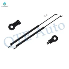 Pair of 2 Rear Liftgate Lift Support For 1981 Honda Civic