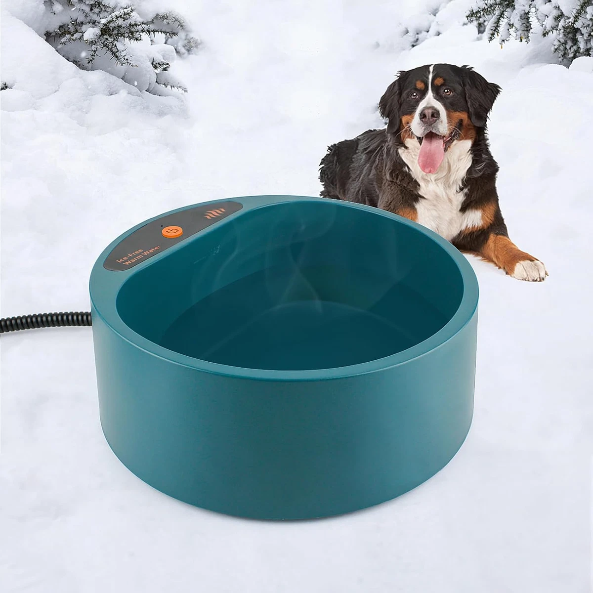 Heated top dog dish