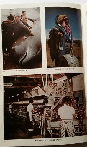 "Sand & Glass" / "Riches of the Animal World" 1964 Science Program Booklets (2) - Picture 3 of 8