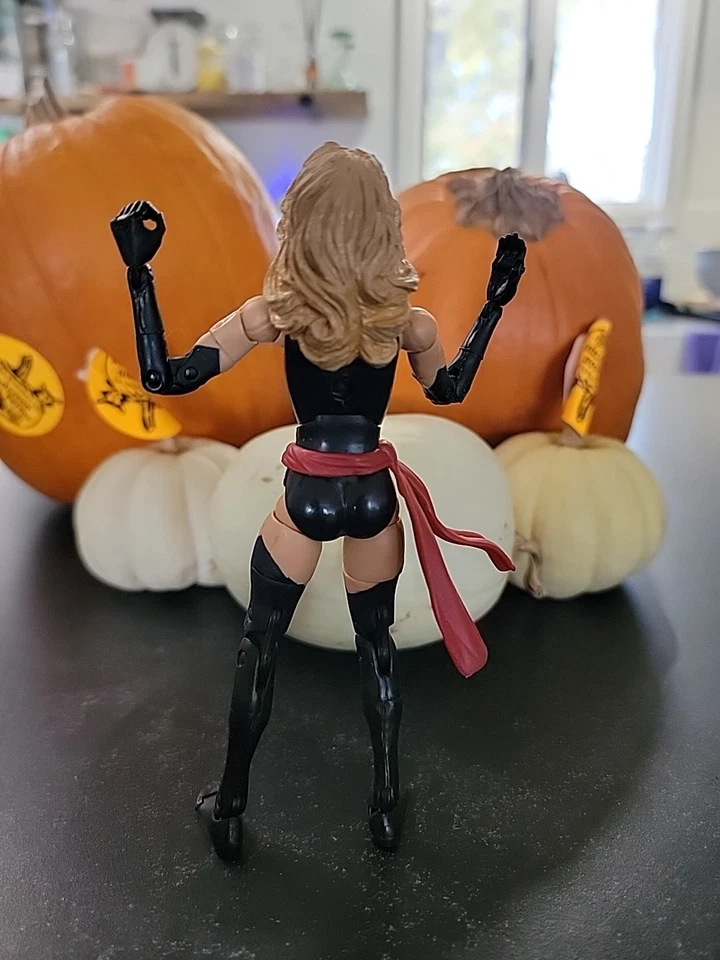 Toybiz Marvel Legends WARBIRD MS. MARVEL  - Image 2 of 2