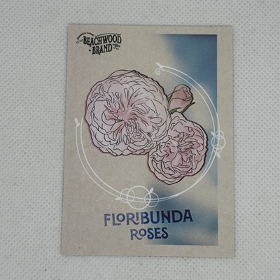 2025 Parkside Beachwood Brand | Floribunda Roses | Roses!
