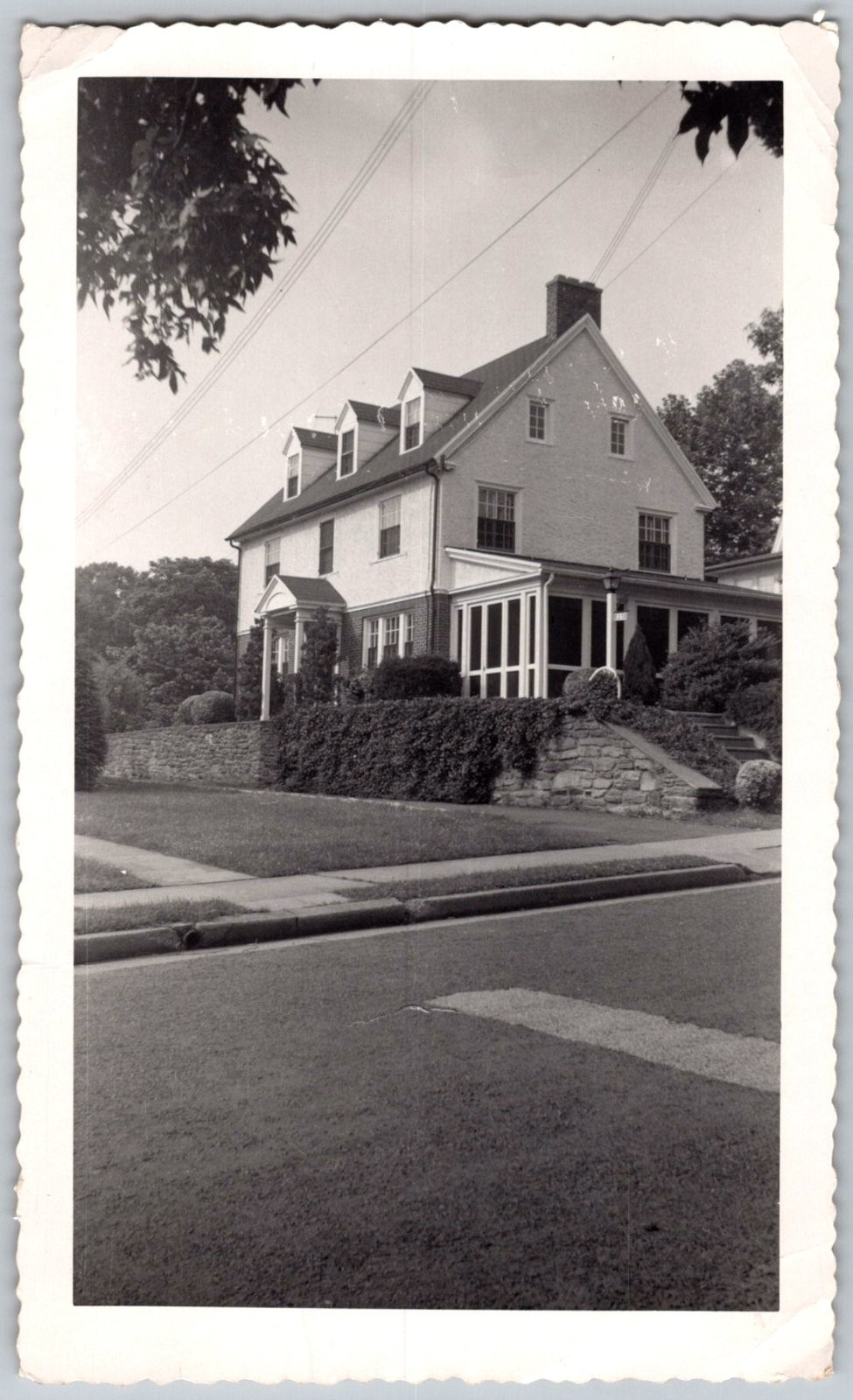 Picture 1