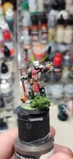 Next Level Miniatures 28mm Scale Pro Painted Dragonborn Paladin Miniature
