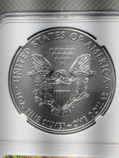 American Eagle MS 69 Graded 2014 Silver Bullion Coins for sale | eBay