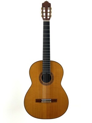 Esteve 1GR08 spanische Konzertgitarre 4/4 Vollmassiv Gitarre Fichte Palisander