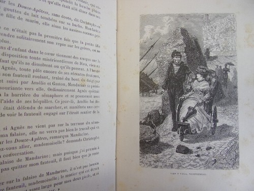 Cartonnage. Mandarine Melle Z. Fleuriot. Illustré par Delort. 1896 - Picture 4 of 8