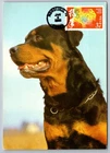 3895k Chinese Lunar New Year Dog FDC Maxi Card