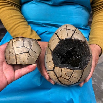 7.23LB Top Natural Turtle Back Stone Hole Shape Dragon Crystal Crack Gem Reiki