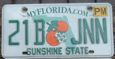 FLORIDA Double orange PM Permanent license plate    21B JNN