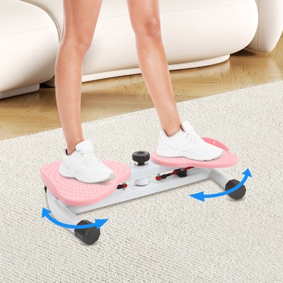 Waist Twist Exercise Equipment for Home Gym - 220.46lbs Capacity