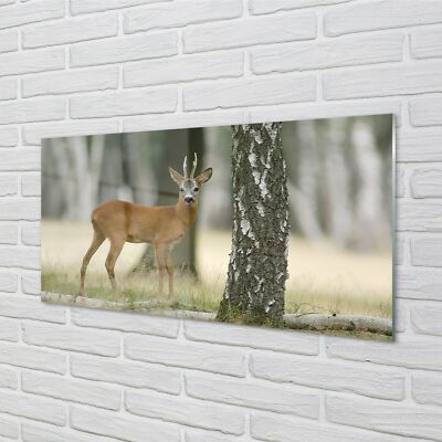 Tulup Acrylglas 100x50 Wandkunst Hirschwald