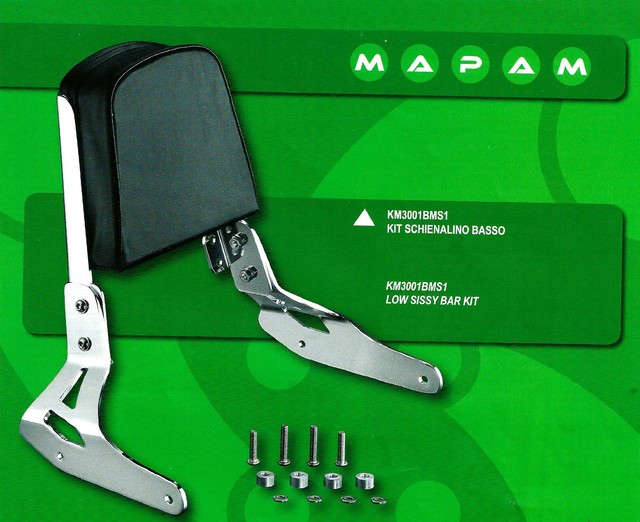 Schienale Kawasaki Mean Streak Sissy Bar Sozius Rückenlehne Meanstreak VN 1500 for sale online