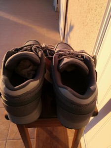 reebok pump 44