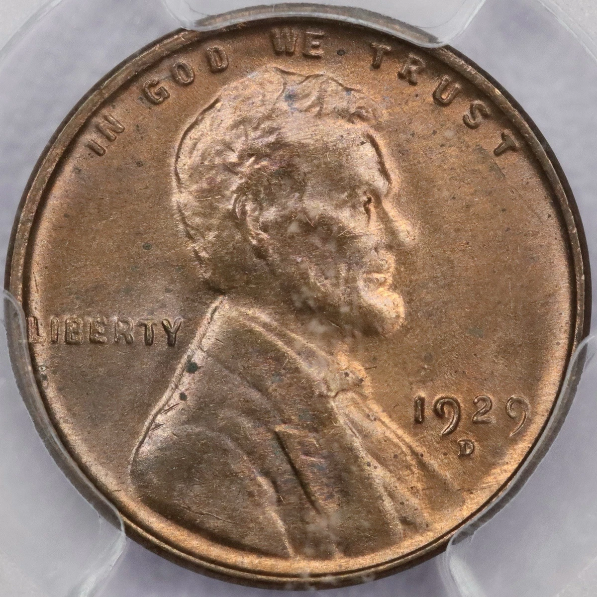 MS 64 Graded 1929 Year Lincoln Wheat US Small Cents (1909-1958