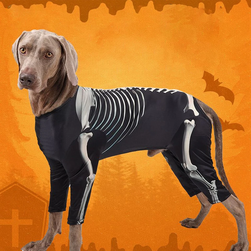 Halloween Esqueleto Perro Disfraz Ropa Decoración Sesiones de Fotos Accesorios Halloween Mascota Foto 3 de 4
