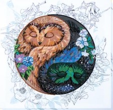 Bead embroidery kit Owl Harmony needlework kit Art canvas beadwork pattern