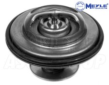 Thermostat BMW 733