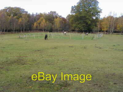 Photo 6x4 Bartley Cricket Ground Bartley Cricket Ground, with winter graz c2008