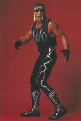 Hollywood Hulk Hogan 1998 Panini WCW/nWo PhotoCards 4x6 Card #25