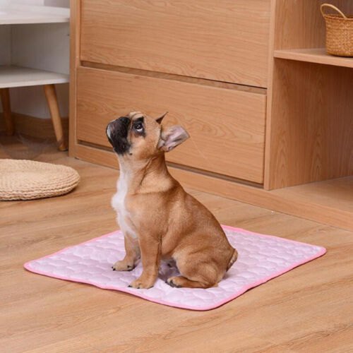 Alfombra de refrigeración estera de frío almohada de refrigeración manta de refrigeración estera de hielo 100cmx70cm azul perro gato - Imagen 10 de 26