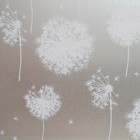 Bild 25 von 75