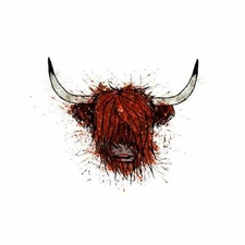 Wee Blue Coo Highland Cow Portrait Art Framed Wall Art Print