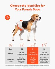 New Disposable Dog Diapers, Super Absorbent Female Dog Diapers, 360  Leak-Proo