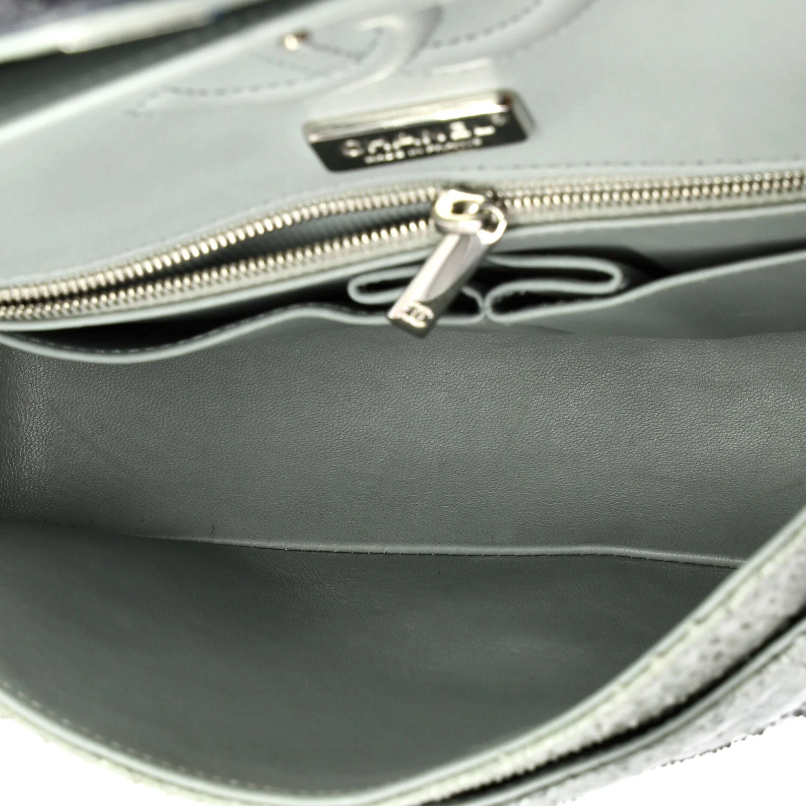 Chanel Classic Double Flap Bag Python Medium - image 6