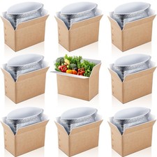 10 Pack Small Double Insulated Boxes, 9 x 6 x 5 in Small Chill Insulated with...