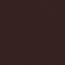 Ford/Lincoln/Mercury Mahogany Red Leather Dye