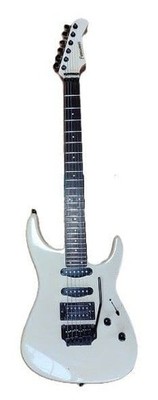 FERNANDES FR-55T with gig bag #QY72TD