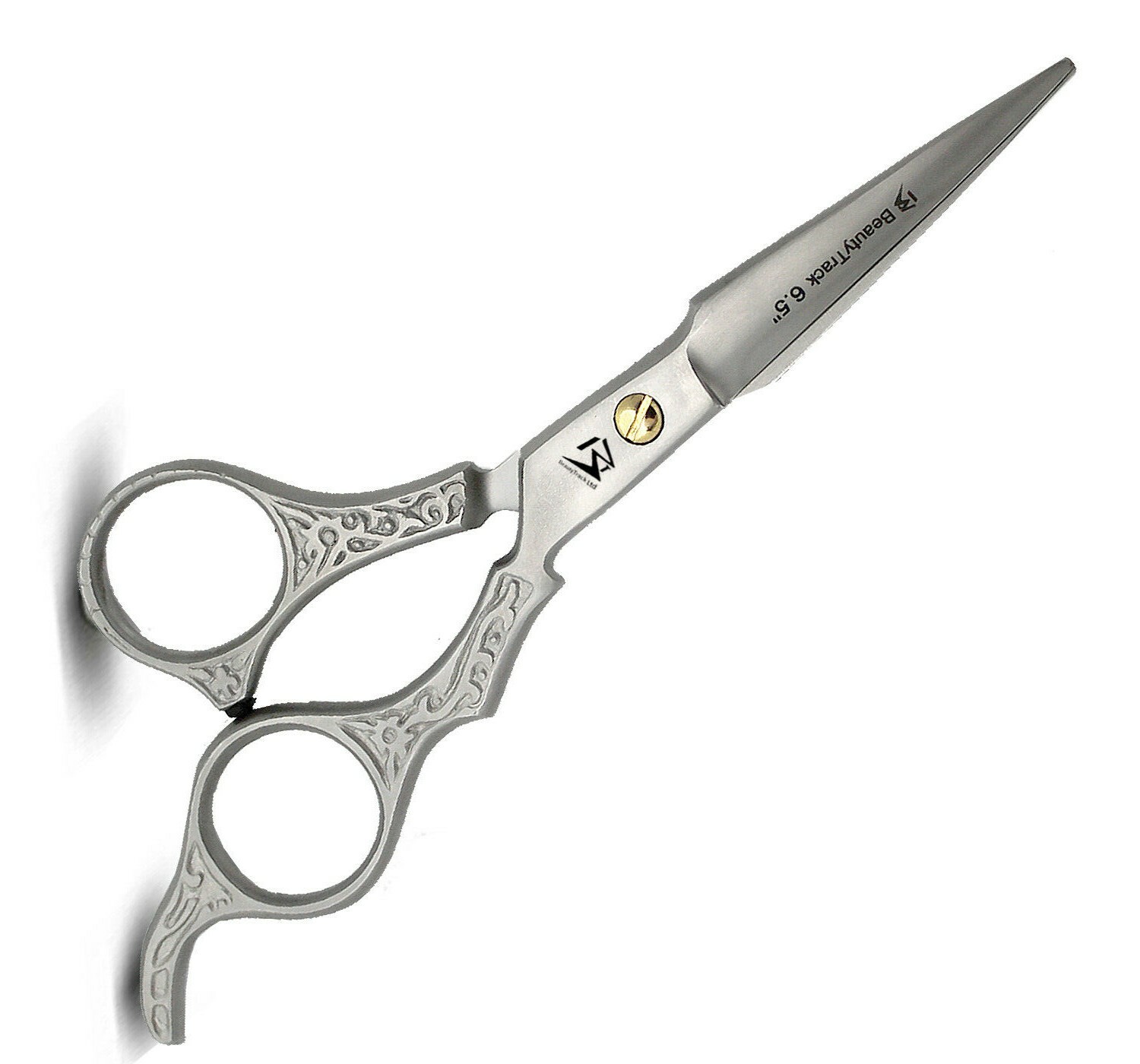 6.5" PRO Hair Cutting Thinning Scissors SILVER Shears Barber Salon