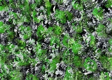 "Color Mix Green" 5" x 7" Original Acrylic Abstract Painting Art Unframed
