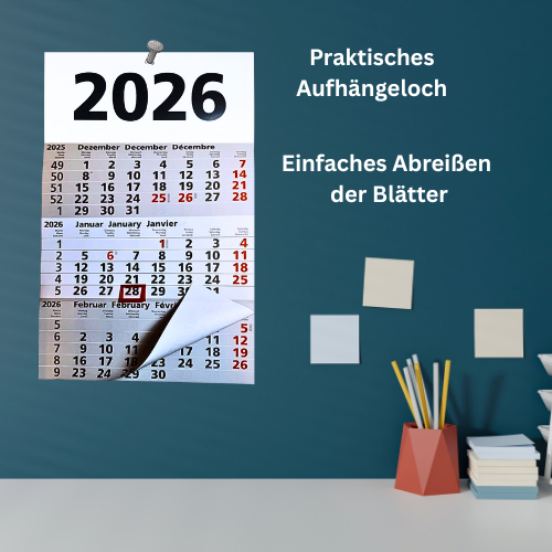 WANDKALENDER 2026 3-Monats Planer ohne Werbung Dreimonatskalender XL 30x49cm EUR 1,99 - DE