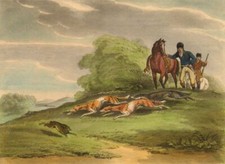 RUSSIA. Hare coursing fan- tailed Greyhound. Leather cap pantaloons (Orme)  1814